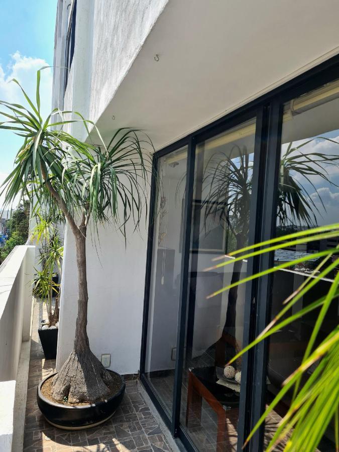 Excelente Ubicacion En Colonia Del Valle Мексико Сити Екстериор снимка